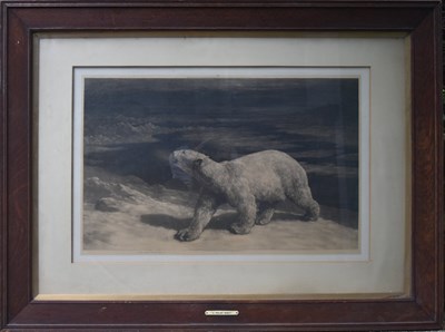 Lot 145 - FORMER BRISTOL ZOO GARDENS - HERBERT DICKSEE (1862-1942) - A POLAR NIGHT