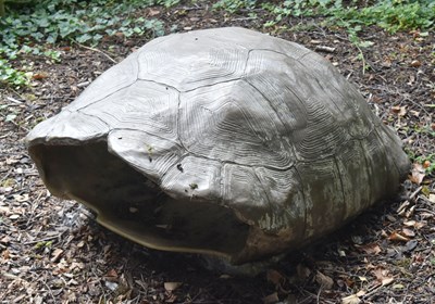 Lot 155 - FORMER BRISTOL ZOO GARDENS - LARGE TORTOISE SHELL ATTRACTION