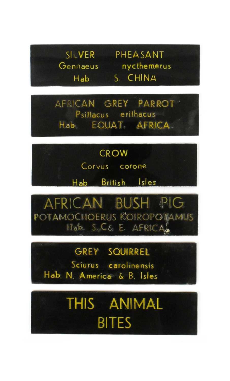 Lot 157 - FORMER BRISTOL ZOO GARDENS - VINTAGE ANIMAL ENCLOSURE PLAQUES