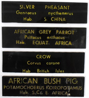Lot 157 - FORMER BRISTOL ZOO GARDENS - VINTAGE ANIMAL ENCLOSURE PLAQUES