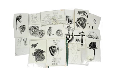 Lot 171 - FORMER BRISTOL ZOO GARDENS - PEN AND INK ANIMAL ILLUSTRATIONS