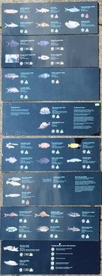 Lot 204 - FORMER BRISTOL ZOO GARDENS - ORIGINAL AQUARIUM SIGNS