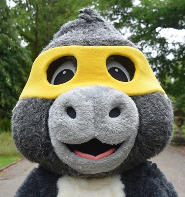 Lot 215 - FORMER BRISTOL ZOO GARDENS - ORIGINAL MONKEY MASCOT COSTUME
