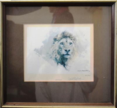 Lot 222 - FORMER BRISTOL ZOO GARDENS - DAVID SHEPHERD (1931-2017) - LION'S HEAD - SIGNED PRINT