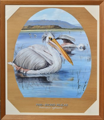 Lot 224 - FORMER BRISTOL ZOO GARDENS - 'PINK-BACKED PELICAN' - SUSAN JANE 1999 - PAINTING