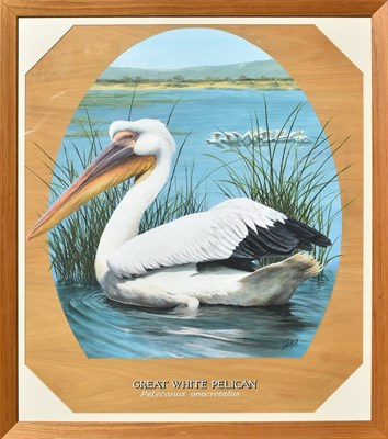 Lot 228 - FORMER BRISTOL ZOO GARDENS - 'GREAT WHITE PELICAN' - SUSAN JANE 1998 - PAINTING