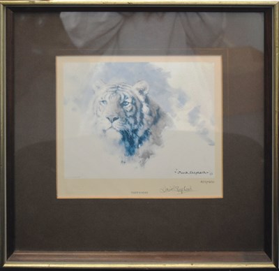 Lot 229 - FORMER BRISTOL ZOO GARDENS - DAVID SHEPHERD (1931-2017) - TIGER'S HEAD - SIGNED PRINT