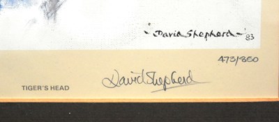 Lot 229 - FORMER BRISTOL ZOO GARDENS - DAVID SHEPHERD (1931-2017) - TIGER'S HEAD - SIGNED PRINT