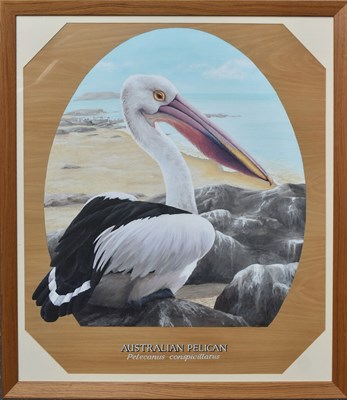 Lot 238 - FORMER BRISTOL ZOO GARDENS - 'AUSTRALIAN PELICAN' - SUSAN JANE 1998 - PAINTING