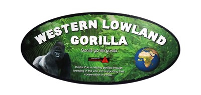 Lot 253 - FORMER BRISTOL ZOO GARDENS - WESTERN LOWLAND GORILLA SIGN