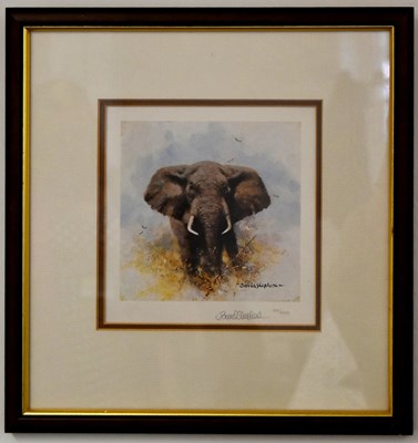 Lot 259 - FORMER BRISTOL ZOO GARDENS - DAVID SHEPHERD (1931-2017) - ELEPHANT - SIGNED PRINT