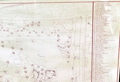 Lot 282 - FORMER BRISTOL ZOO GARDENS - 1981 'CATALOGUE OF TREES' MAP