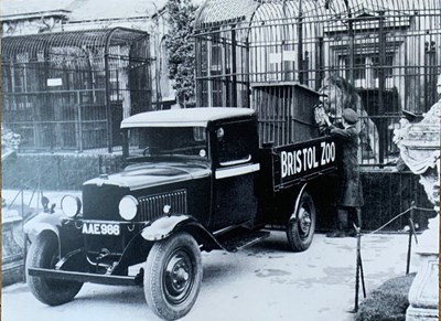 Lot 292 - FORMER BRISTOL ZOO GARDENS - 1930S ZOO SCENE DISPLAY