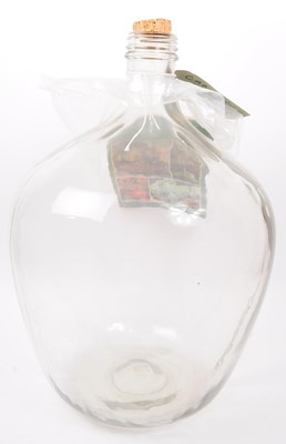 Lot 185 - VINAGE 20TH CENTURY LARGE CARBOY TERRARIUM
