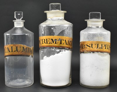 Lot 130 - THREE VICTORIAN 19TH CENTURY HAND PAINTED LABEL GLASS CHEMIST BOTTLES