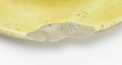 Lot 6 - QING YELLOW GROUND FLORAL RELIEF VASE 清 王炳荣花卉雕瓷瓶