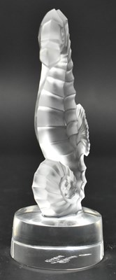 Lot 104 - LALIQUE - CONTEMPORARY GLASS SEAHORSE PAPERWEIGHT