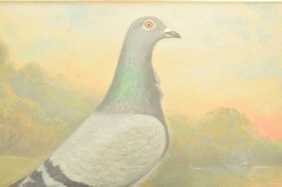 Lot 570 - ANDREW BEER (1862-1954) - BLUE HEN PIGEON - OIL ON CANVAS PAINTING