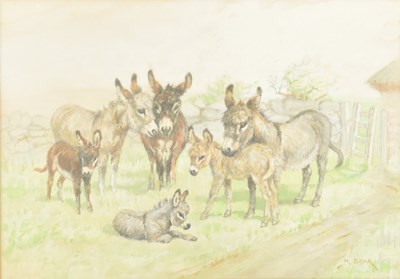 Lot 589 - MABEL GEAR (1900-1997) - DONKEYS - WATERCOLOUR & PENCIL ON PAPER